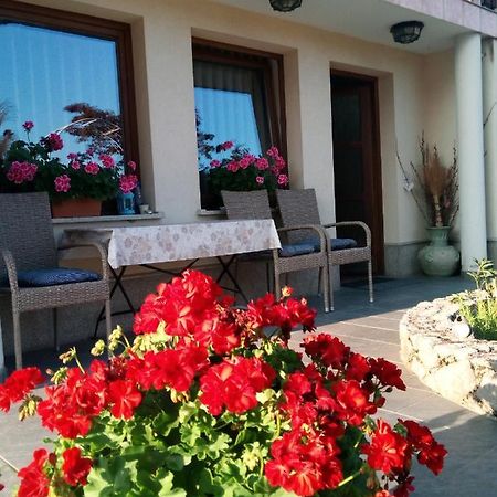 Dolenjska Vila Zuzemberk Bagian luar foto
