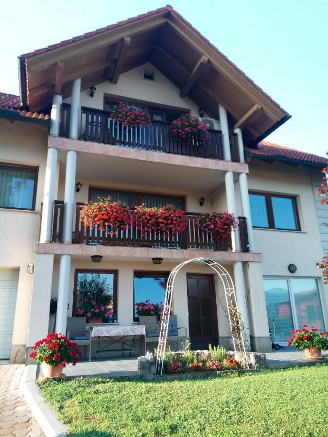 Dolenjska Vila Zuzemberk Bagian luar foto