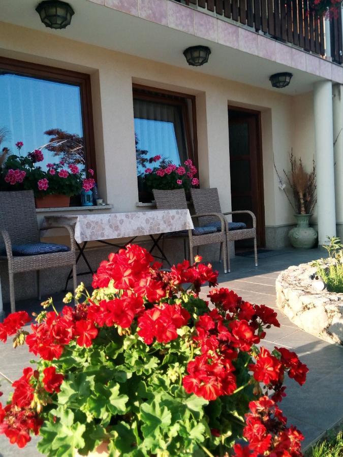 Dolenjska Vila Zuzemberk Bagian luar foto