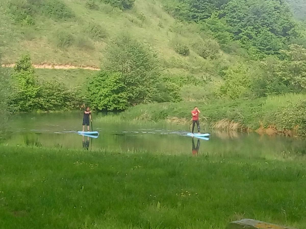 Dolenjska Vila Zuzemberk Bagian luar foto
