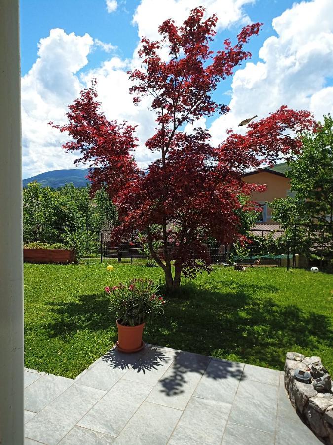 Dolenjska Vila Zuzemberk Bagian luar foto